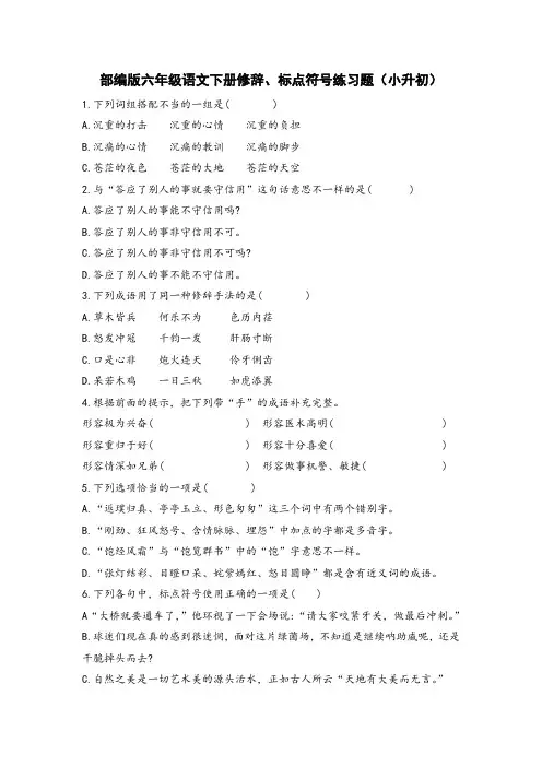 部编版六年级语文下册修辞、标点符号练习题(小升初)
