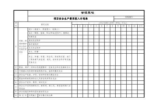 项目安全生产费用投入计划表