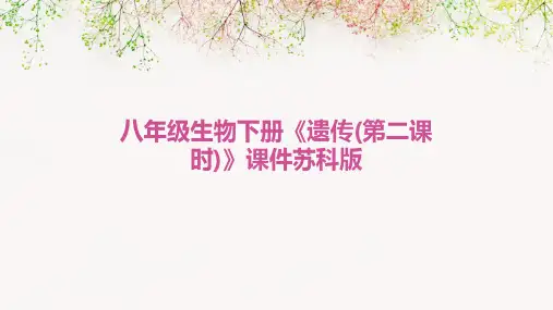 八年级生物下册《遗传(第二课时)》课件苏科版