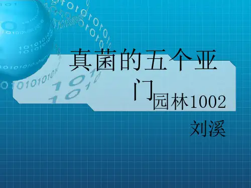 《真菌的五个亚门》PPT课件