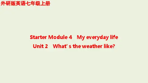 Starter+Module+4++Unit件+2023-2024学年外研版英语七年级上册