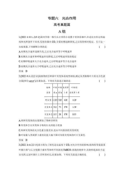 高考生物专题复习-专题六光合作用-高考真题练习题(附答案)