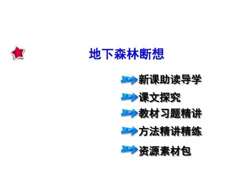 九年级语文下册 第三单元 第11课《地下森林断想》课件 (新版)新人教版