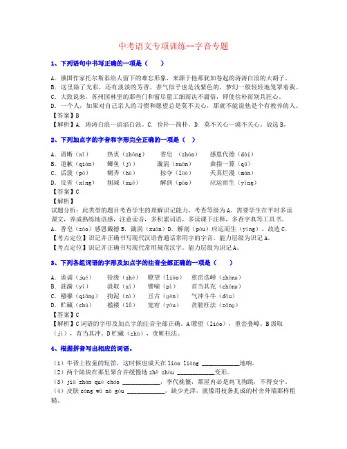 【最新完成】2022年中考语文字音专题练习名师题材