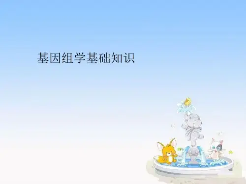 基因组学基础知识