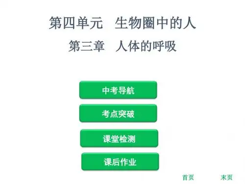 2019年中考生物复习课件：第四单元 第三章   人体的呼吸(共61张PPT)