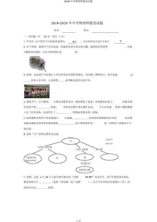 2019-中考物理押题卷试题