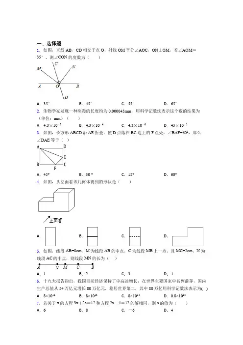深圳中学初中数学七年级上期中经典测试(含答案解析)