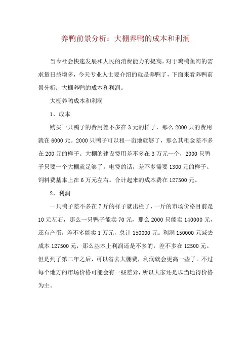 养鸭前景分析：大棚养鸭的成本和利润
