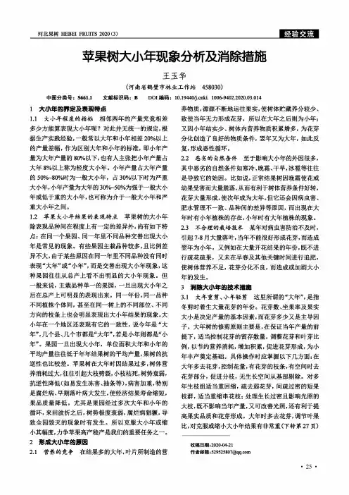 苹果树大小年现象分析及消除措施