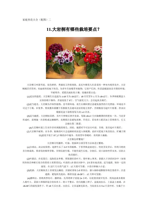 家庭养花大全(配图)二