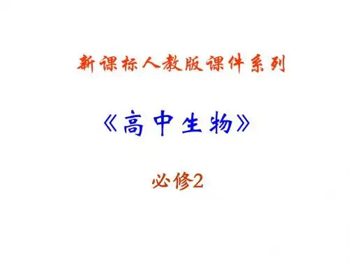 生物：第2章《基因与染色体的关系》课件(新人教版-必修2)