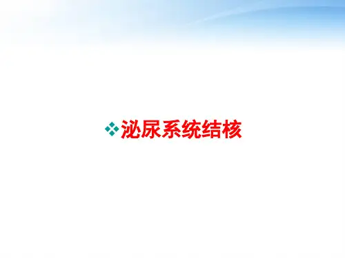 泌尿系统结核 ppt课件