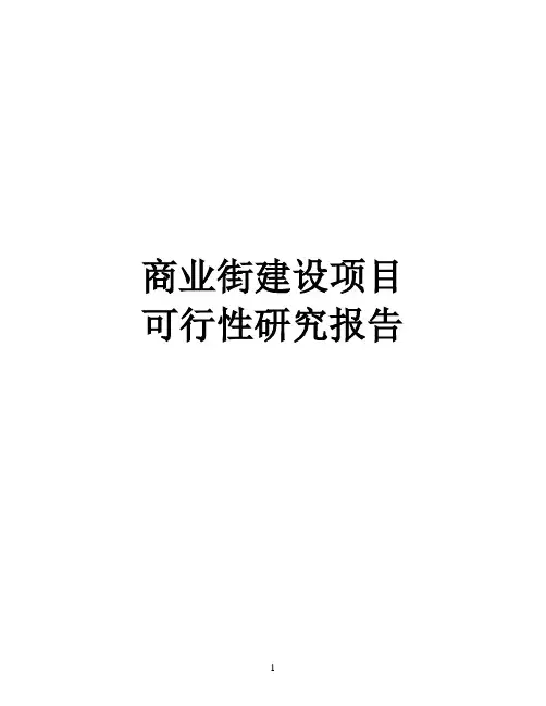 某商业街建设项目可行性研究报告