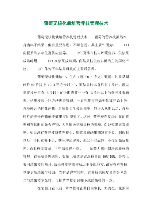 葡萄无核化栽培营养枝管理技术 