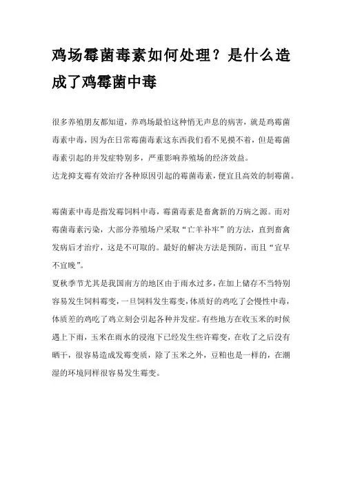 鸡场霉菌毒素如何处理？是什么造成了鸡霉菌中毒