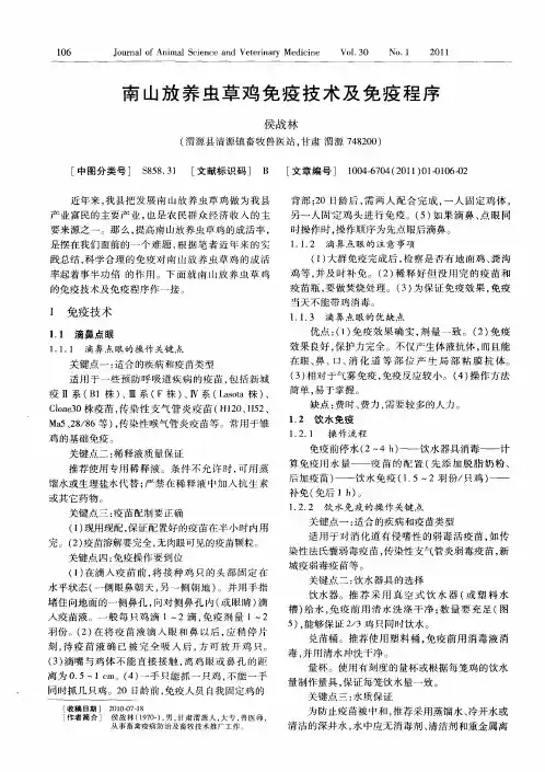 南山放养虫草鸡免疫技术及免疫程序