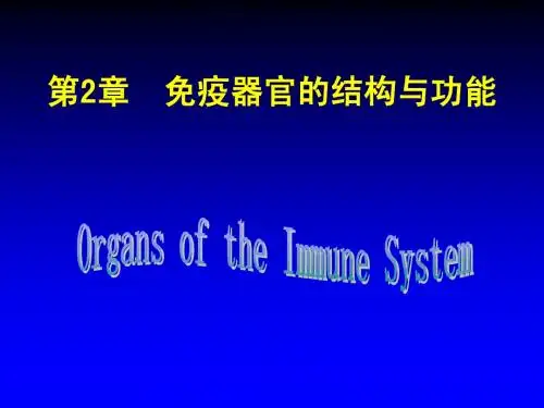 第2章 免疫器官的结构与功能
