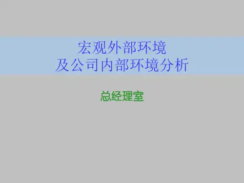 宏观外部环境及环境分析(ppt 12页)