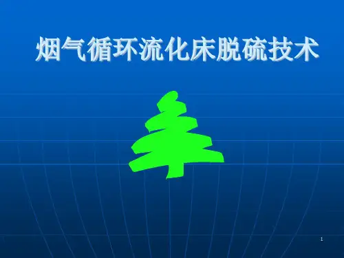 CFB烟气脱硫工艺.ppt