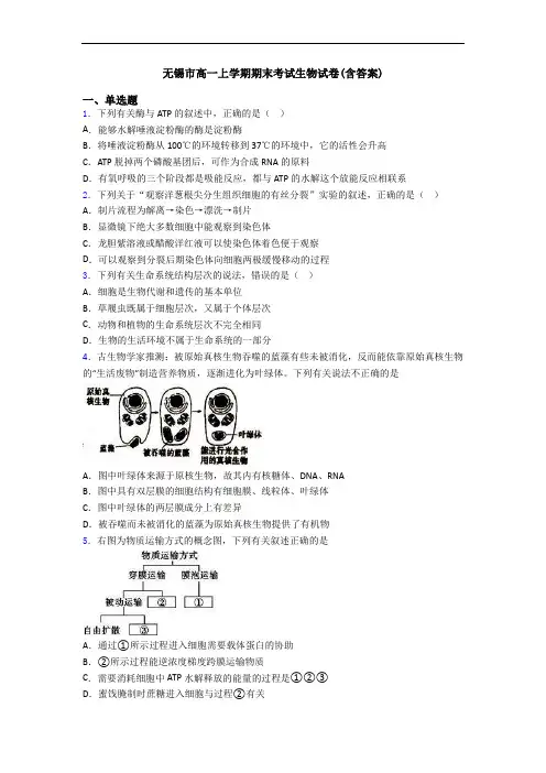 无锡市高一上学期期末考试生物试卷(含答案)