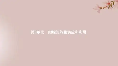 (新人教版)2020版高考大一轮复习第3单元细胞的能量供应和利用8降低化学反应活化能的酶课件(生物)