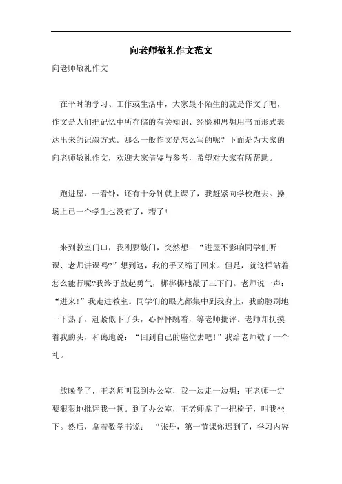 向老师敬礼作文范文