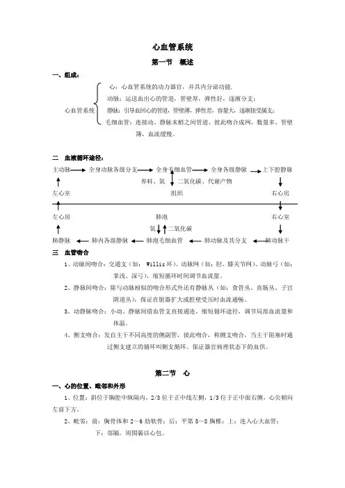 脉管概述、心