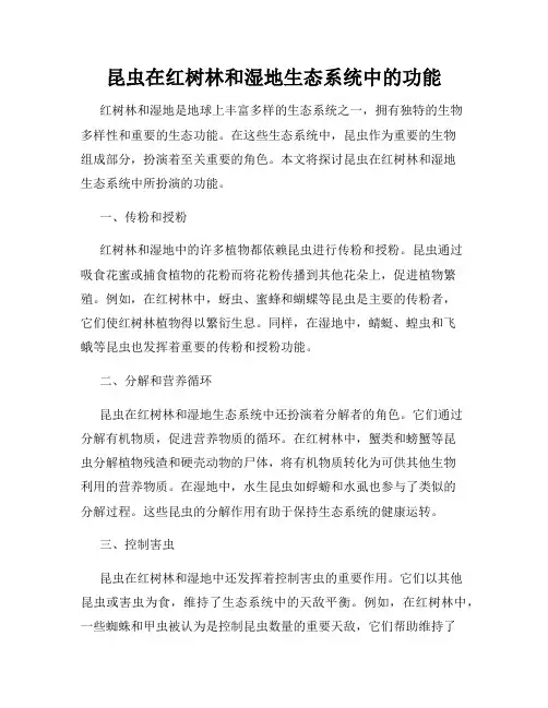 昆虫在红树林和湿地生态系统中的功能