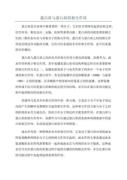 蛋白质与蛋白质的相互作用