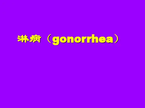 淋病讲课课件