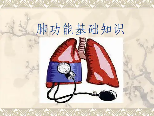 肺功能讲座ppt课件