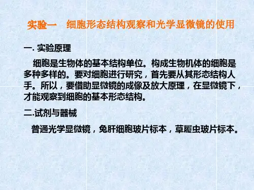实验一、细胞形态结构的观察和普通光学显微镜的使用