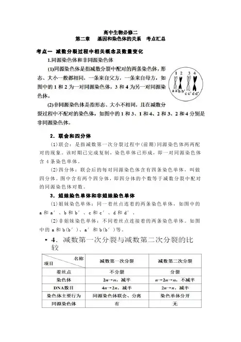 高中生物必修二第二章基因和染色体的关系考点剖析