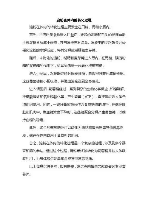 淀粉在体内的转化过程