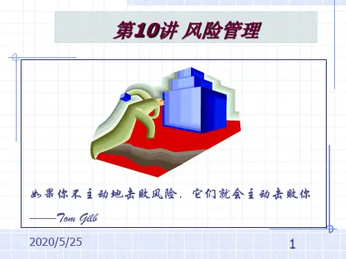 IT软件项目管理讲座10.风险管理
