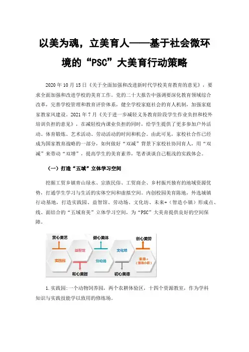 以美为魂，立美育人——基于社会微环境的“PSC”大美育行动策略