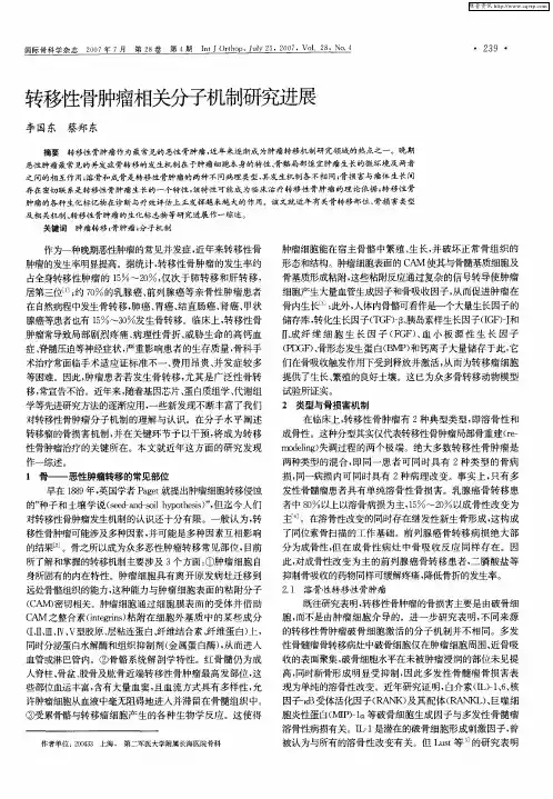 转移性骨肿瘤相关分子机制研究进展