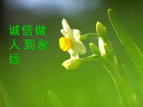 初中道德与法治《诚信做人到永远》优质教学课件
