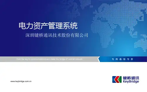 电力资产管理系统简介