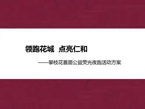 领跑花城 点亮仁和汇报方案