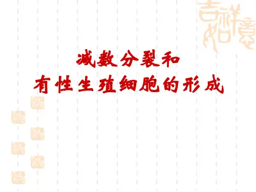 减数分裂和有性生殖细胞的形成ppt6 人教版