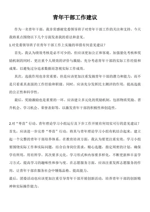 青年干部工作建议