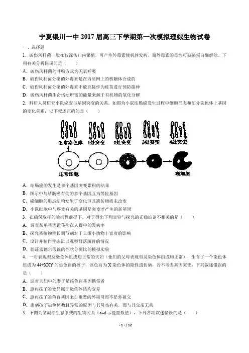 宁夏银川一中高三下学期第一次模拟理综生物试卷有答案