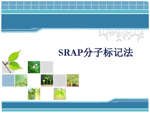 SRAP