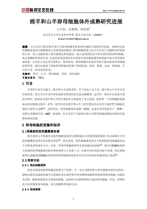 绵羊和山羊卵母细胞体外成熟研究进展