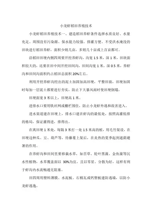 小龙虾稻田养殖技术