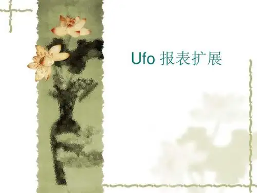 UFO 报表扩展
