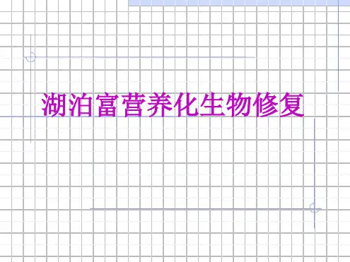 湖泊富营养化1讲解
