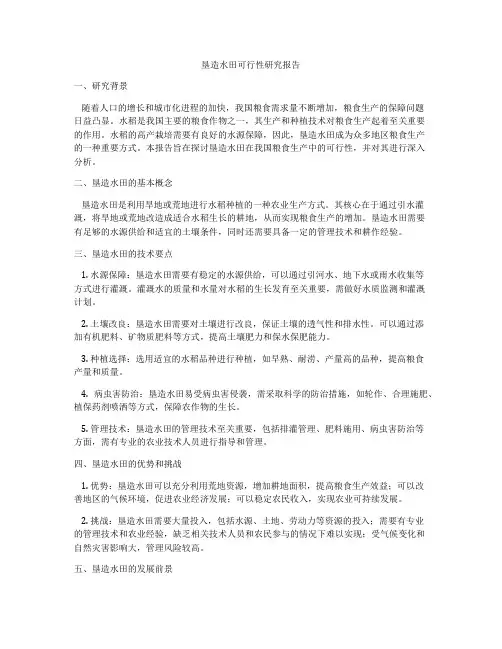 垦造水田可行性研究报告
